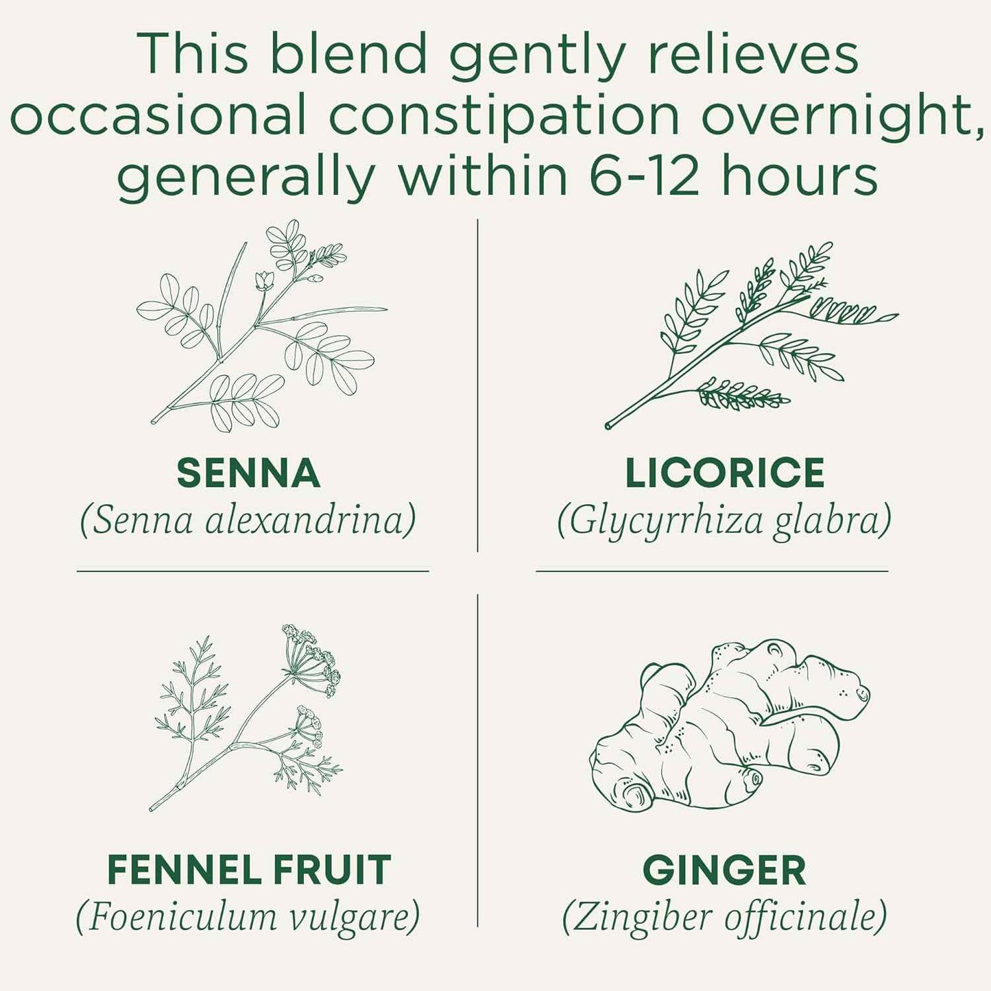 Traditional Medicinals Smooth Move – Simple One-Ingredient-Forward Herbal Tea for Clutter-Free Pantries