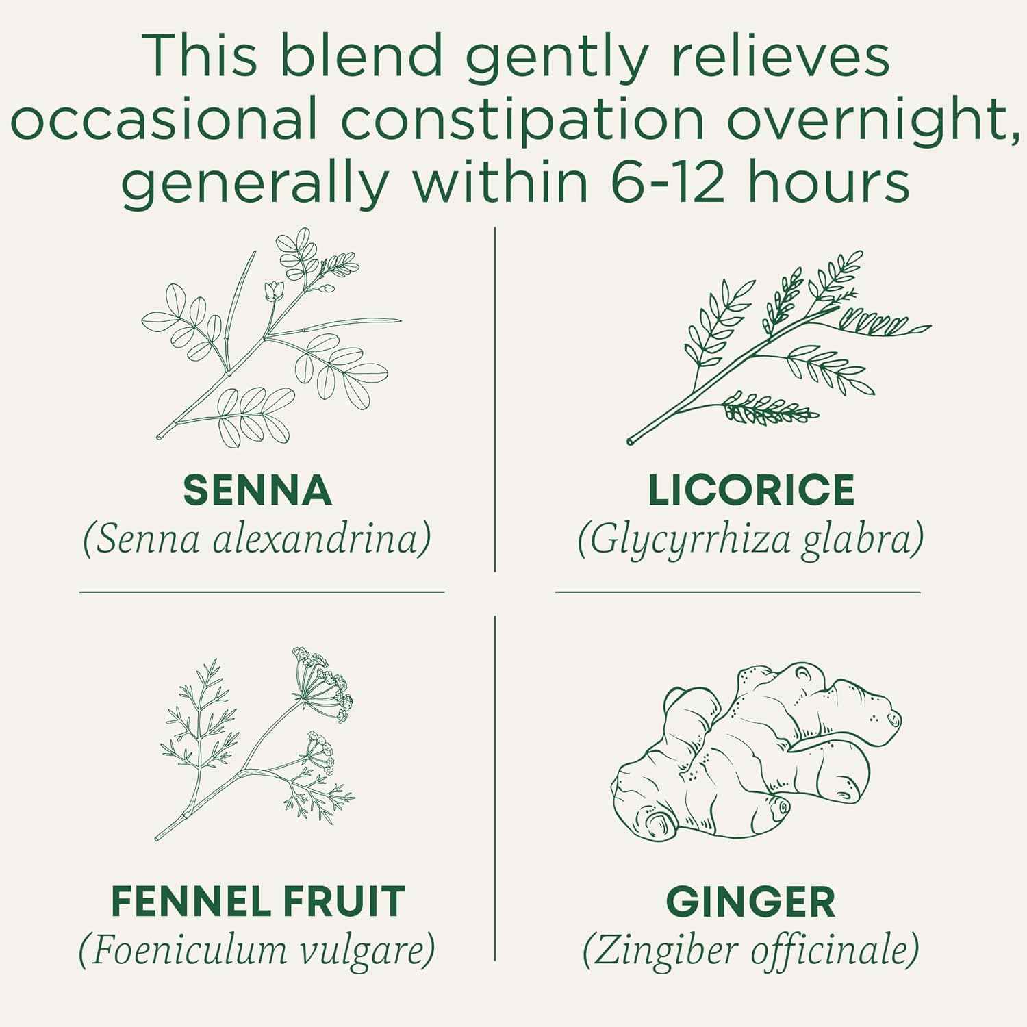 Traditional Medicinals Smooth Move – Simple One-Ingredient-Forward Herbal Tea for Clutter-Free Pantries