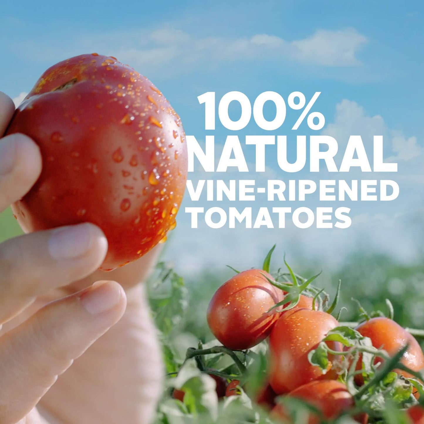 crushed texture between sauce and diced tomatoes