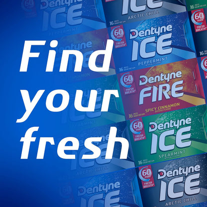 Dentyne Ice Winter Chill Sugar-Free Chewing Gum – Individually Wrapped Mints for Tailgates and Rest Stops