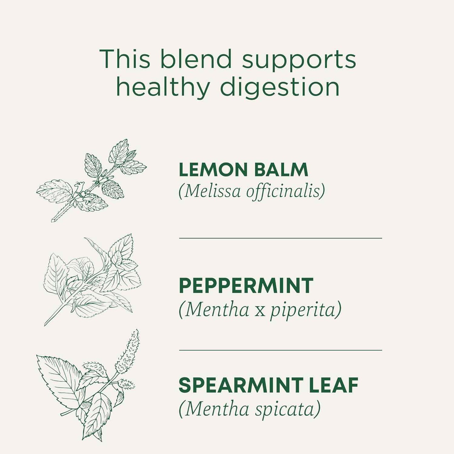 Traditional Medicinals Organic Triple Mint Tea – Gentle Family-Friendly Herbal Brew for Kids' Snack Time