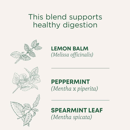 Traditional Medicinals Organic Triple Mint Tea – Gentle Family-Friendly Herbal Brew for Kids' Snack Time