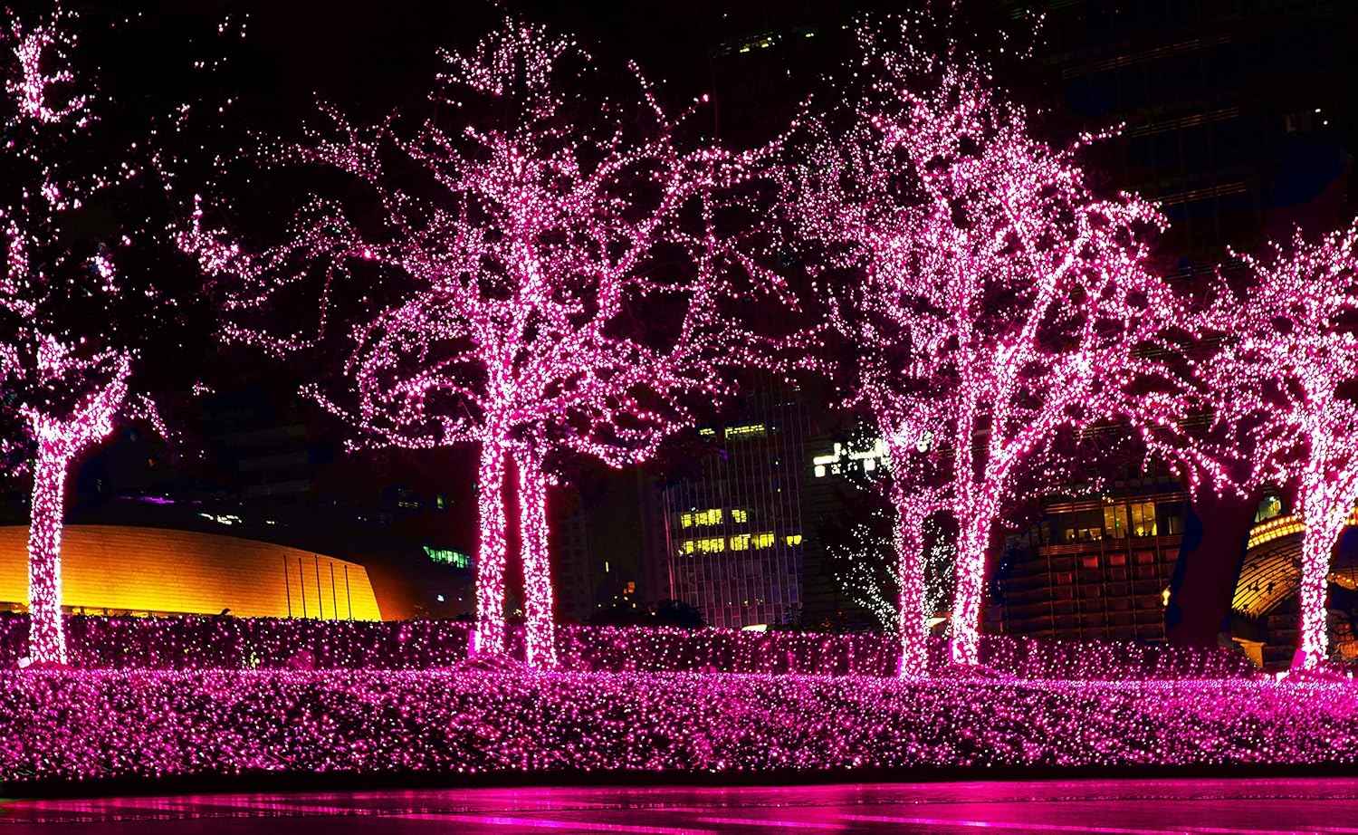 612 Vermont Pink String Lights for Nursery Decor, Flame-Free Incandescent Mini Lights for Baby Girl Room and Gender Reveal Party Setup