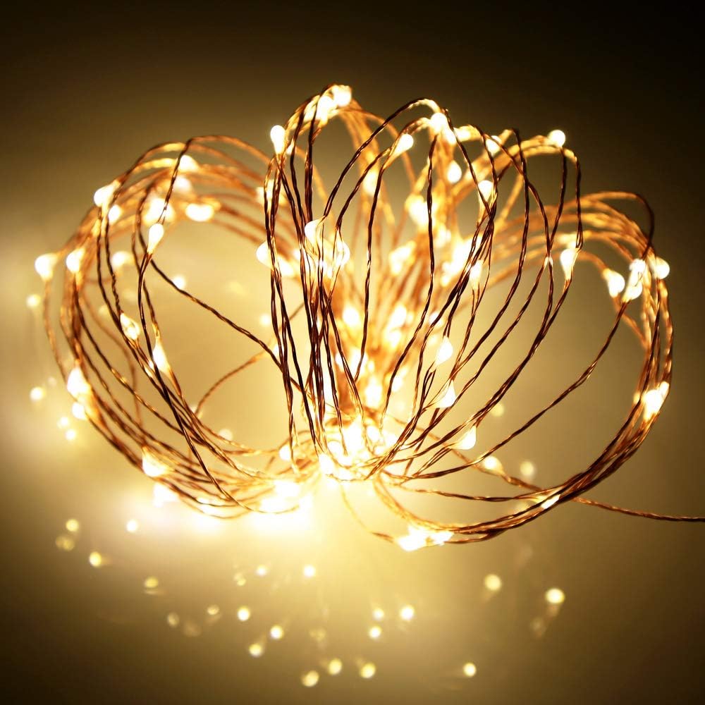dual control via remote and app