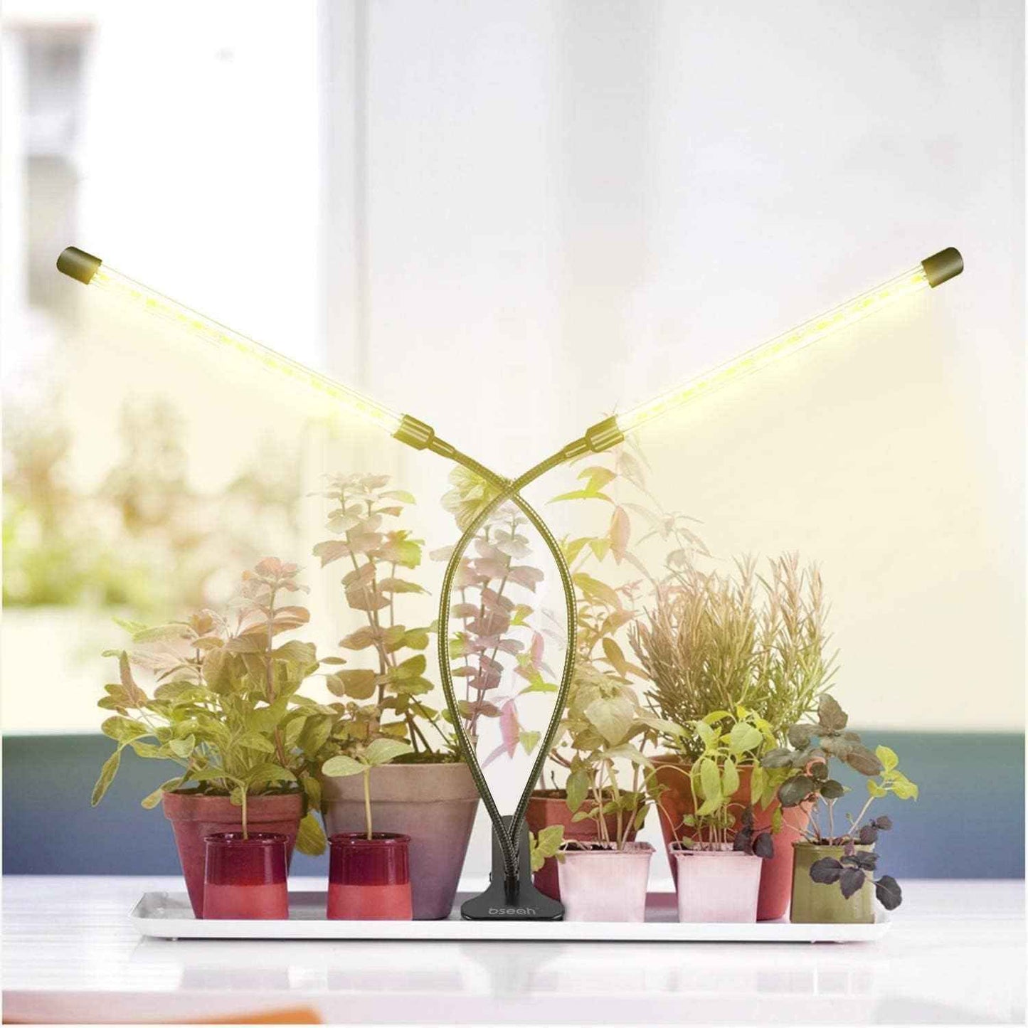 bseah Grow Light for Indoor Plants – Focused Home Office Setup, Full Spectrum Desk Plant Lamp with Auto Timer