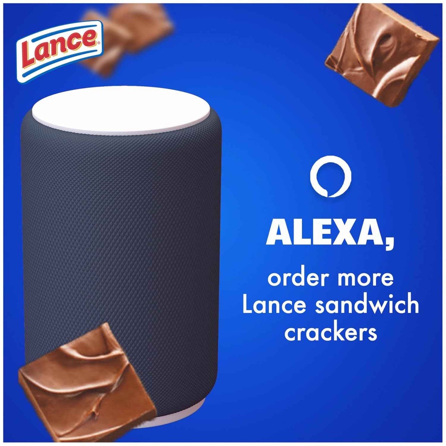 Lance Sandwich Cookies, Nekot Fudge, 10 Individually Wrapped Packs for School Lunches and After-School Snacks