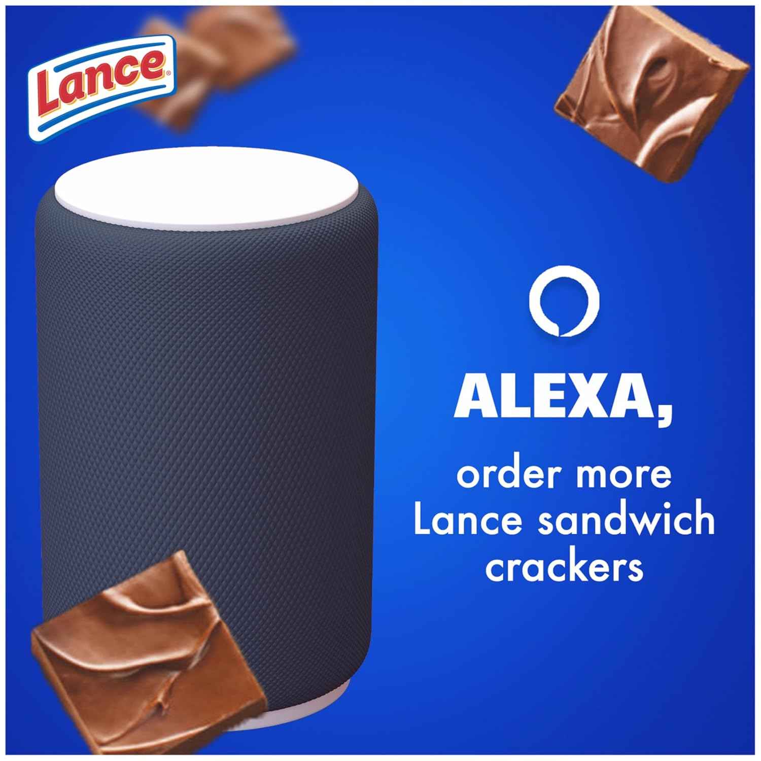 Lance Sandwich Cookies, Nekot Fudge, 10 Individually Wrapped Packs for School Lunches and After-School Snacks