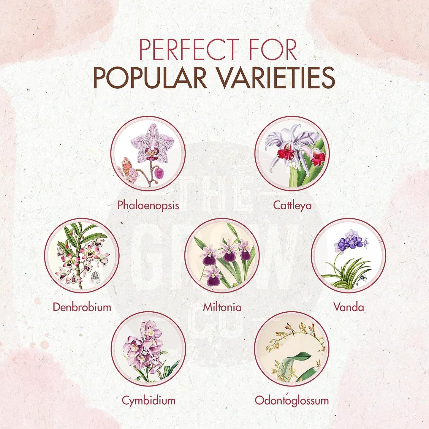 Orchid_Plant_Food_-_Bloom_Booster_Fertilizer_Pellets_for_Orchids_in_Pots_-_Slow_Release_Nutrients_for_Healthy_Flower_&_Reblooms