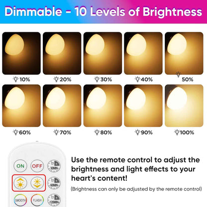 LuminWick Portable A19 LED Bulb – Camping Lantern with Hook for Tents, Picnics, and Backyard Parties