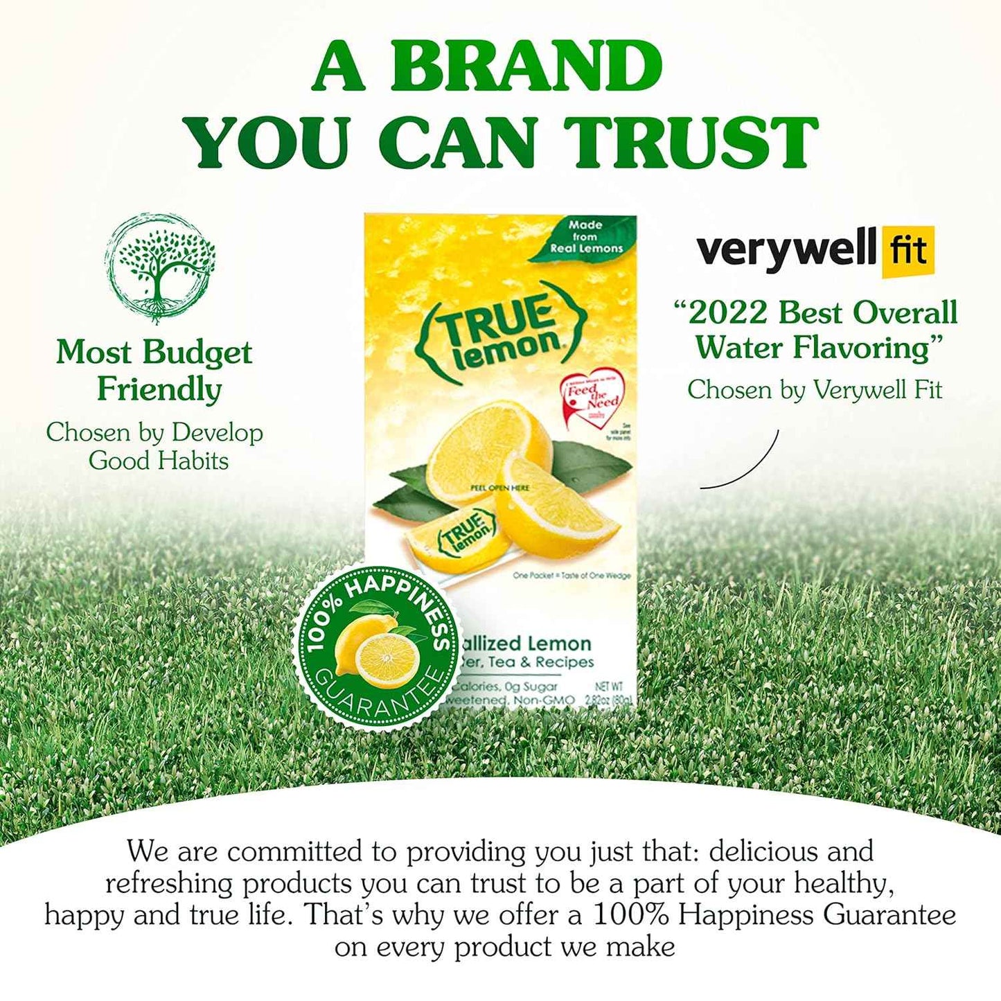 TRUE LEMON Crystalized Lemon Packets – Single-Ingredient Hydration Staple for Clutter-Free Countertops