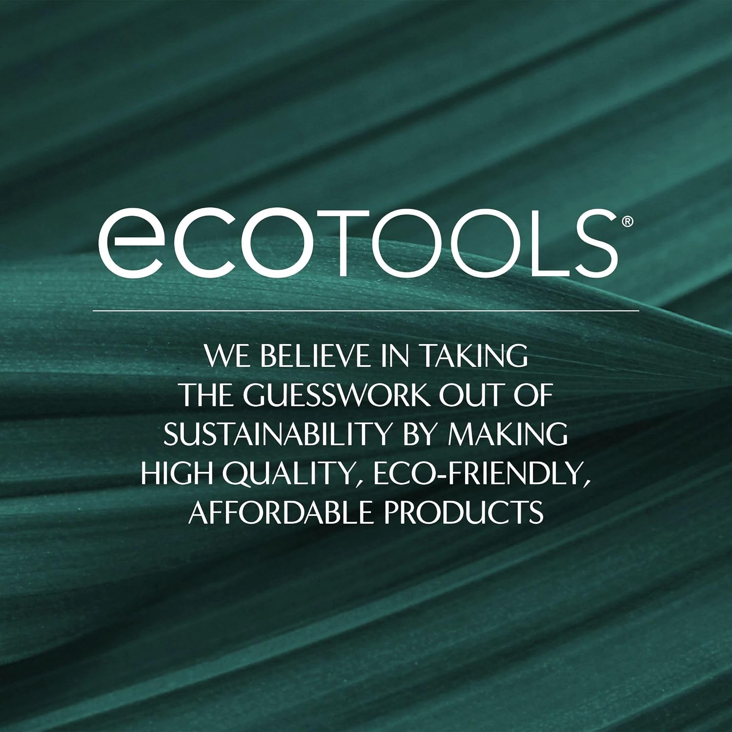 EcoTools Dry Body Brush – Valentine's Day Gift for Her, Cruelty-Free Dry Brushing Tool for Soft, Radiant Skin