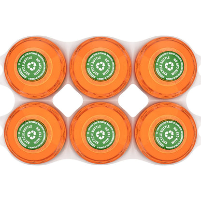 Fanta Orange Soda – Camping and Park Drink, Travel-Friendly 6 Pack of 16.9 fl oz Bottles