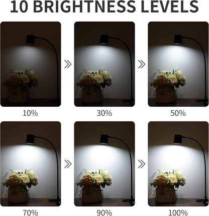 Dott Arts Clip-On Light – Study Lamp for Desk Work and Late-Night Research, 3 Color Temperatures