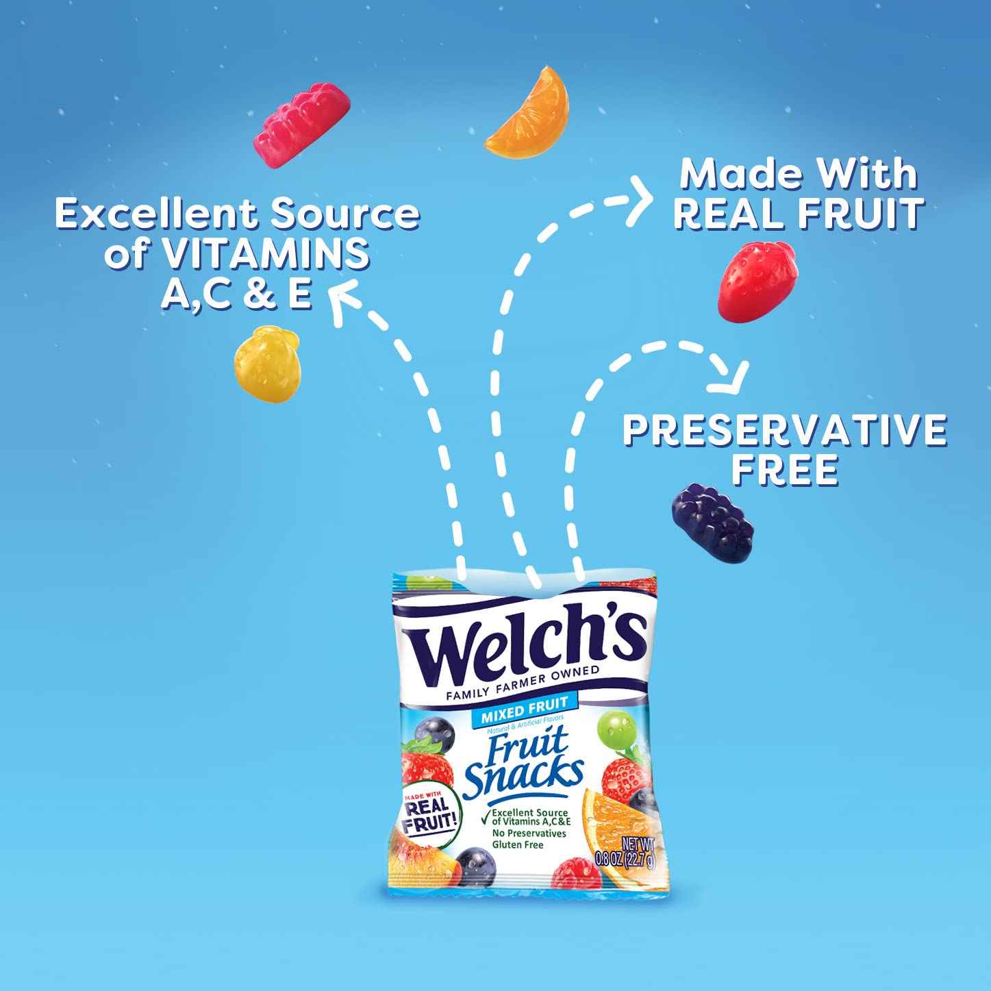 Welch's Fruit Snacks Bulk Variety Box – Gluten-Free, Fat-Free 0.8oz Single-Serve Pouches Safe for Nursery, Playroom, and Kids' Lunches