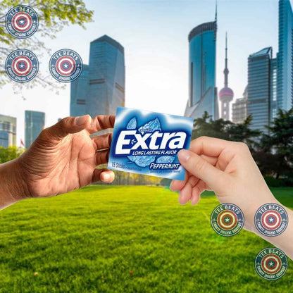 EXTRA Peppermint Sugar Free Chewing Gum Favorite Snack Care Package Gift for Teens