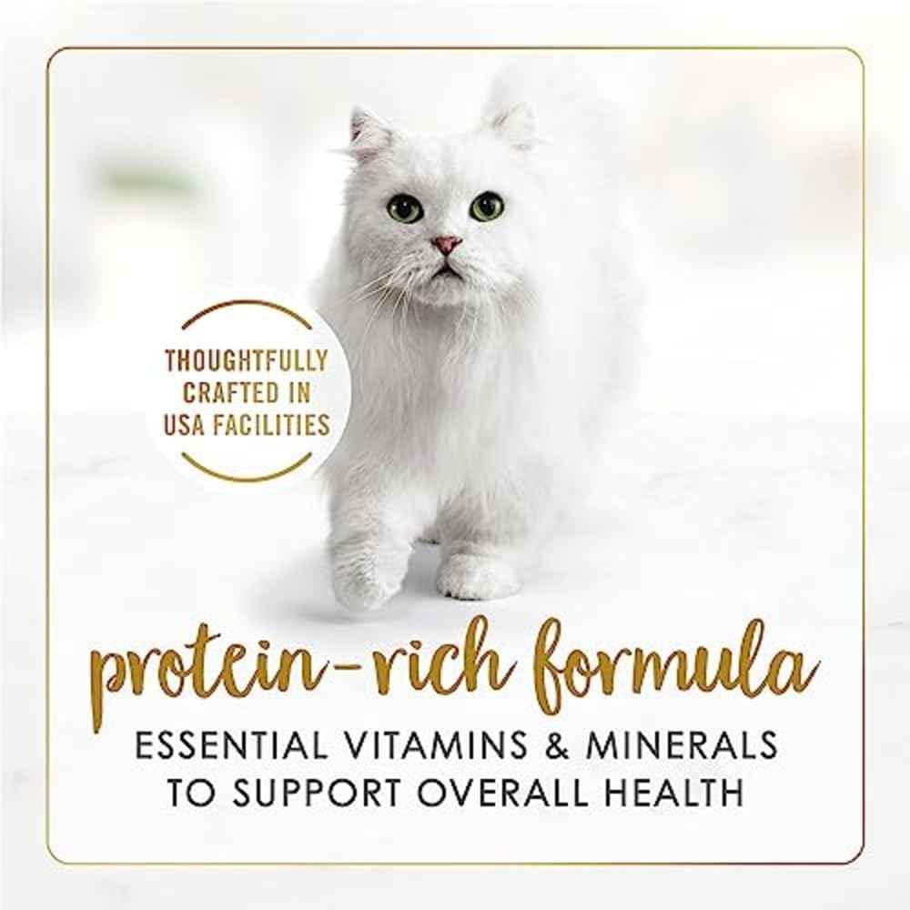 Purina Fancy Feast Gravy Lovers Canned Cat Food – No Artificial Colors or Preservatives for Child-Friendly Pet Feeding Areas