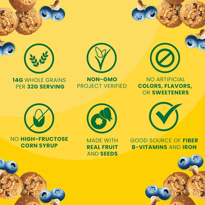 belVita Energy Bites Blueberry Sunflower Seed – Grab-and-Go Commute Bite to Beat the 10 AM Slump