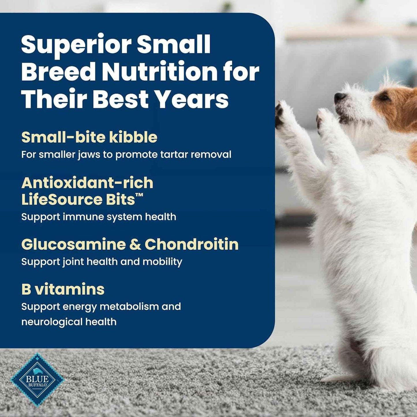 Blue Buffalo Life Protection Senior Small Breed Chicken & Brown Rice – Practical Pet Parent Gift for Holiday and Birthday, 15 lb