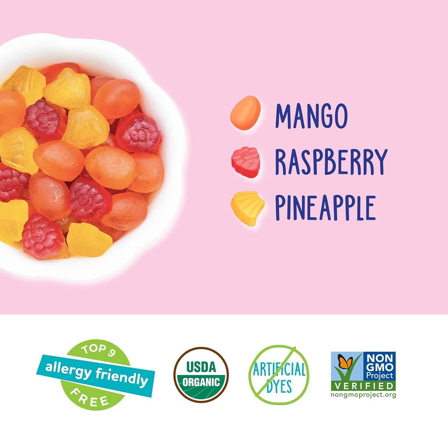 YumEarth Organic Clean Label Fruit Snacks – Healthy Vegan Snack for Mindful Families