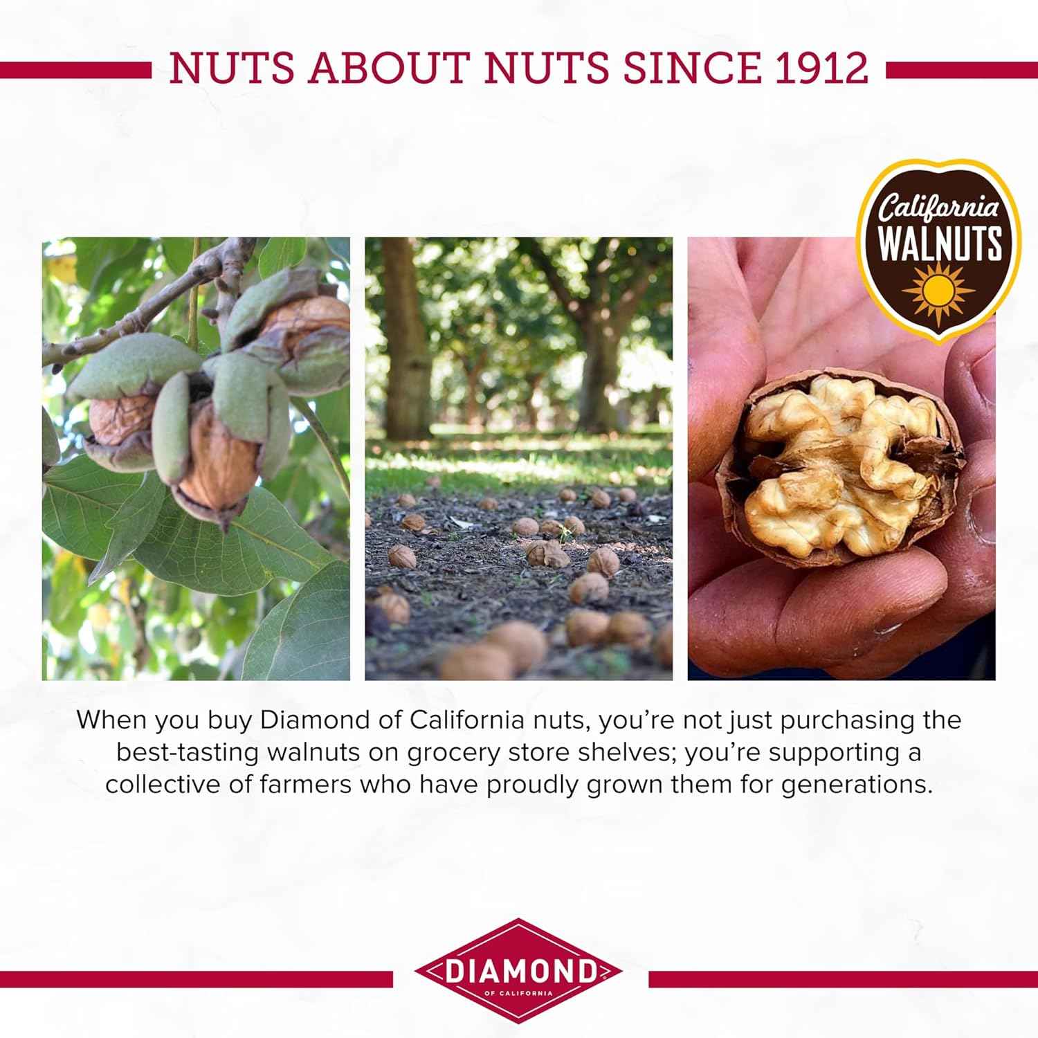 Diamond of California Chopped Walnuts – Raw Unsalted Omega-3 Boost for Oatmeal and Yogurt