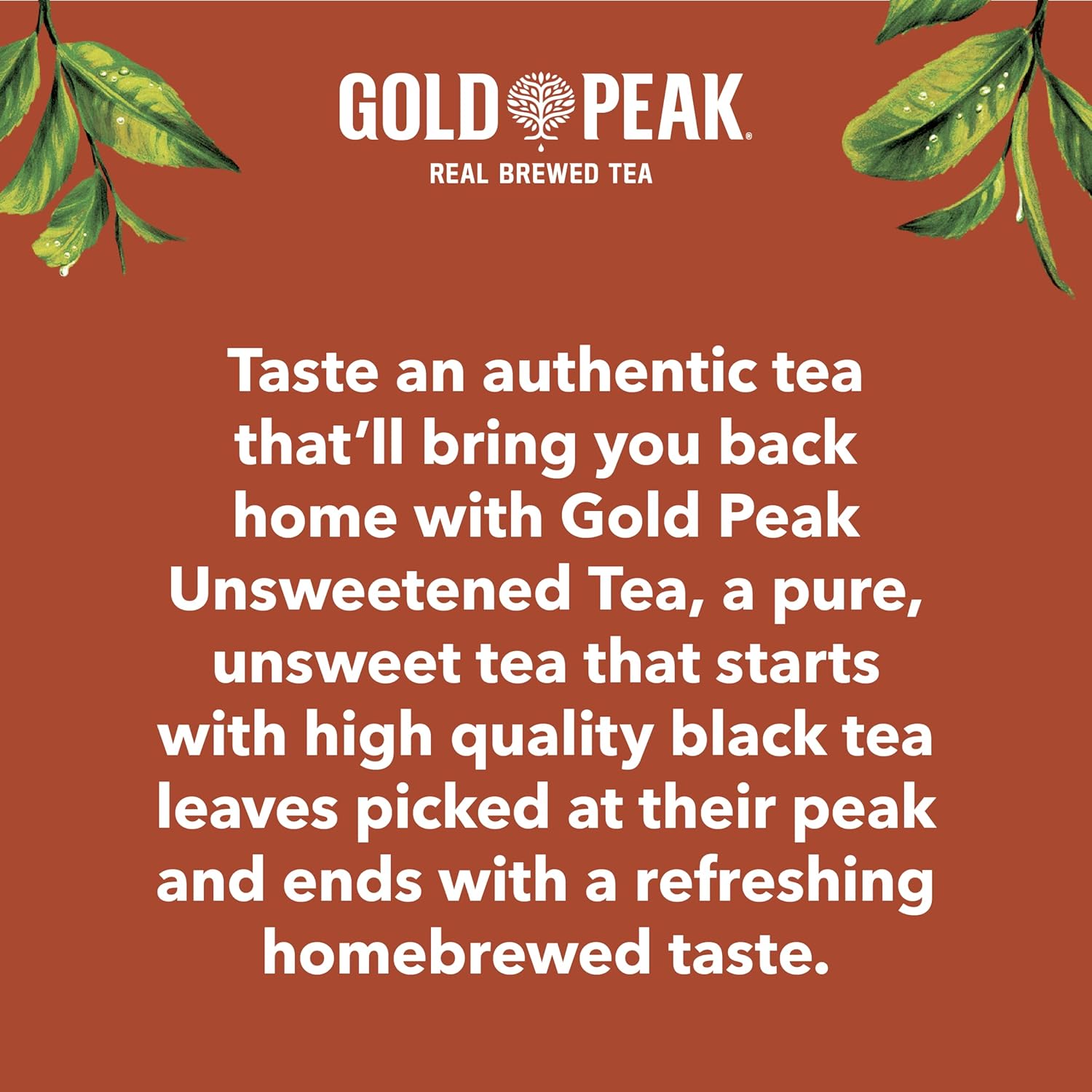 Gold Peak Zero Sugar Sweet Tea – Mindful Sip for Diet and Weight Management Goals, 16.9 fl oz Bottles 6 Pack