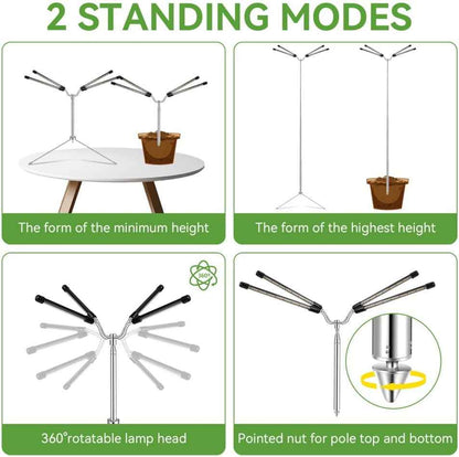 Grow Lights for Indoor Plants – Mindful Self-Care Ritual for Houseplant Therapy at Home