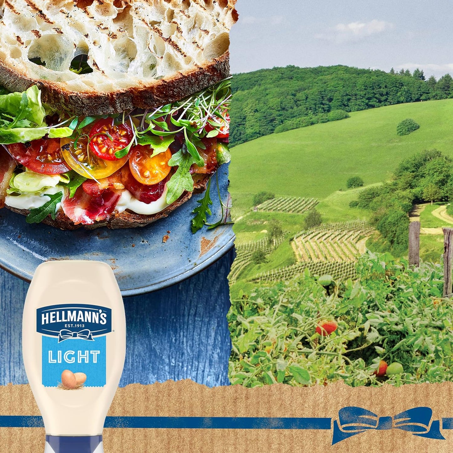 Hellmann's Light Mayonnaise Squeeze Bottle – Portable Backyard BBQ Condiment for Grilled Burgers and Sandwiches