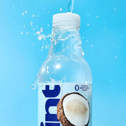 Hint Fruit Water for School Lunchboxes and After-School Refreshment, Sugar Free 12-Pack