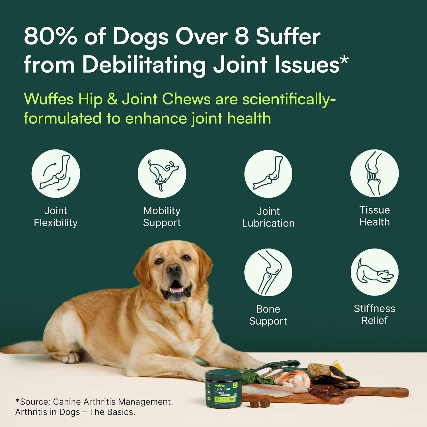 Hip and Joint Chews for Large Dogs – Daily Wellness Ritual for Senior Mobility Support