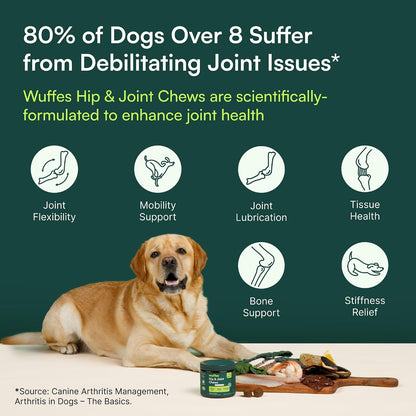 Hip and Joint Chews for Large Dogs – Daily Wellness Ritual for Senior Mobility Support