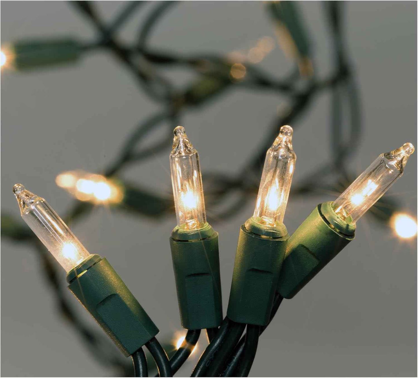 Brilliant Living Clear Mini Christmas Lights – Thoughtful Hostess & Housewarming Holiday Gift