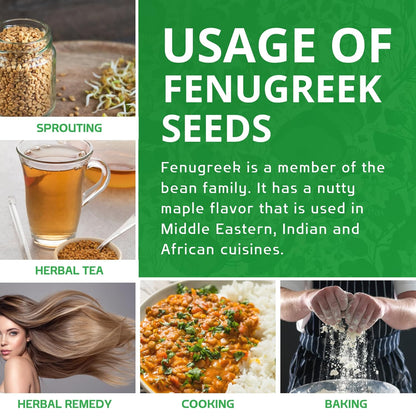 Jiva Organic Fenugreek Seeds 7 Ounce – Raw Methi Dana for Lactation Support, Digestion Soaks & Mindful Morning Routines