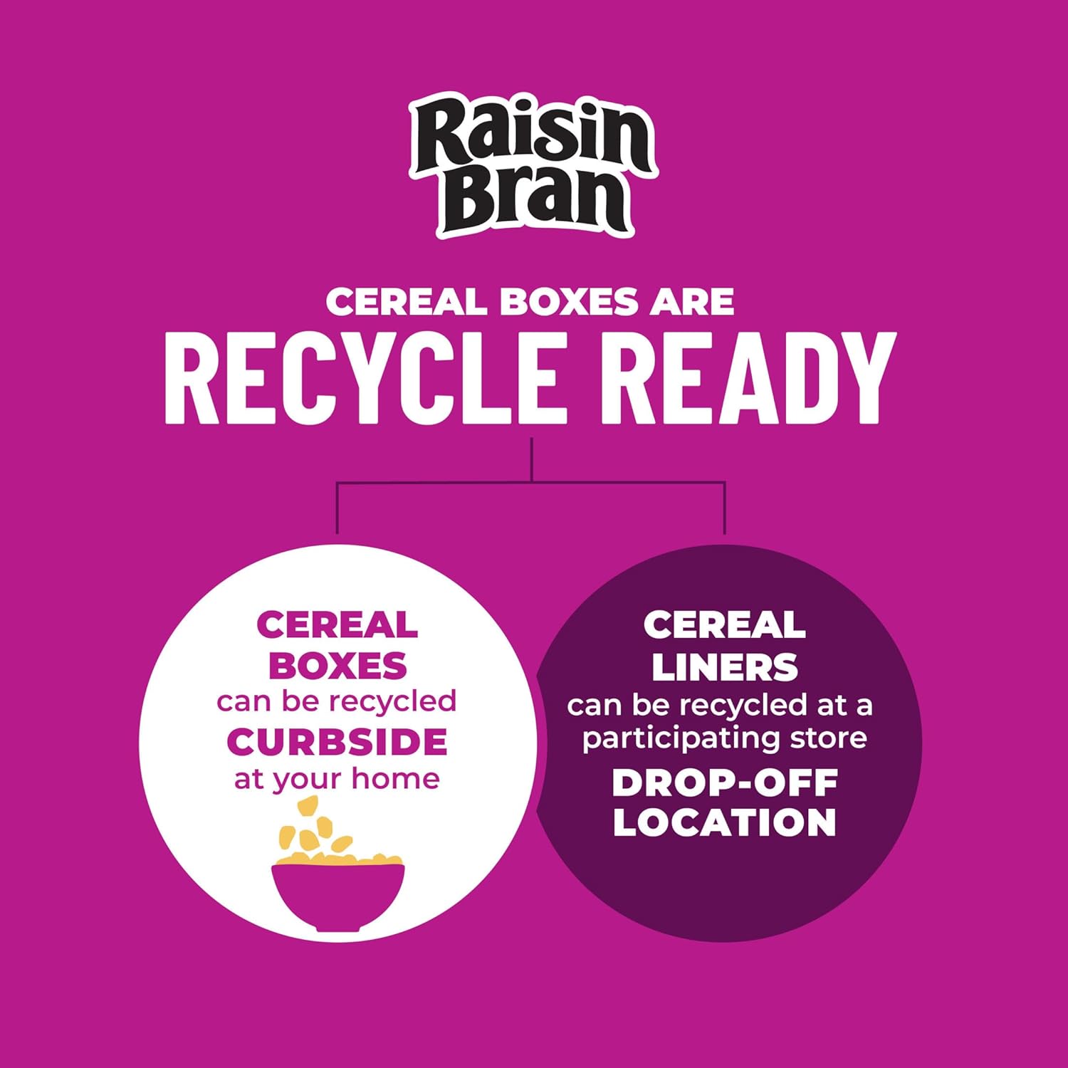 Kellogg's Raisin Bran Cereal for Digestive Wellness Routines, 26% Daily Fiber Breakfast Bowl Staple