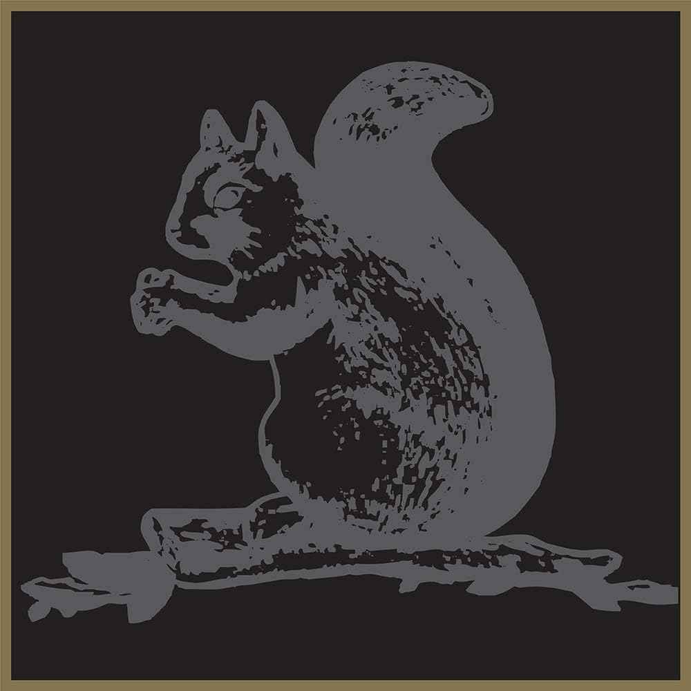 Squirrel Brand Caramel Toasted Colada Cashews – Showstopping Charcuterie Board Centerpiece for Dinner Parties