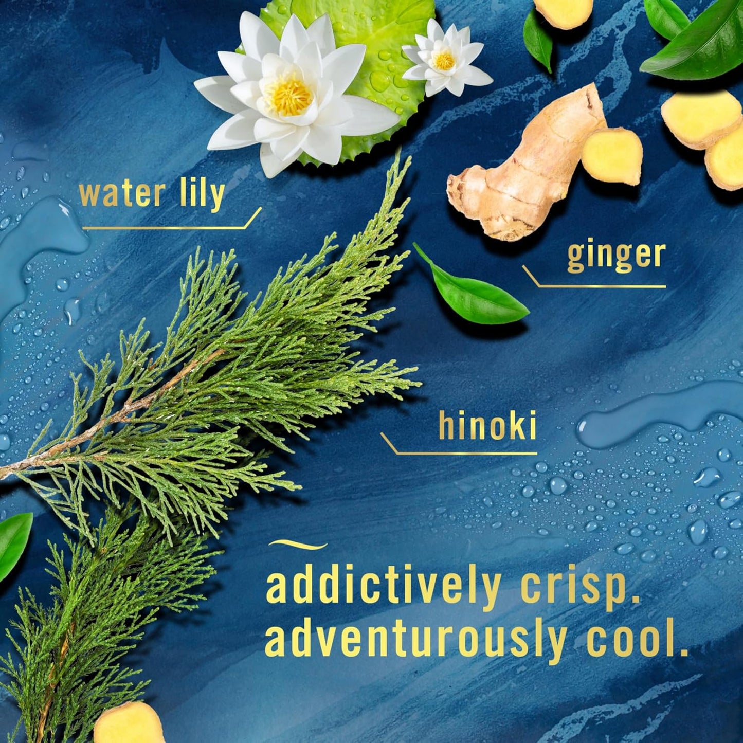layered luxe scent compositions featuring notes like waterlily, ginger, hinoki, alpine, wildflower, and cedar