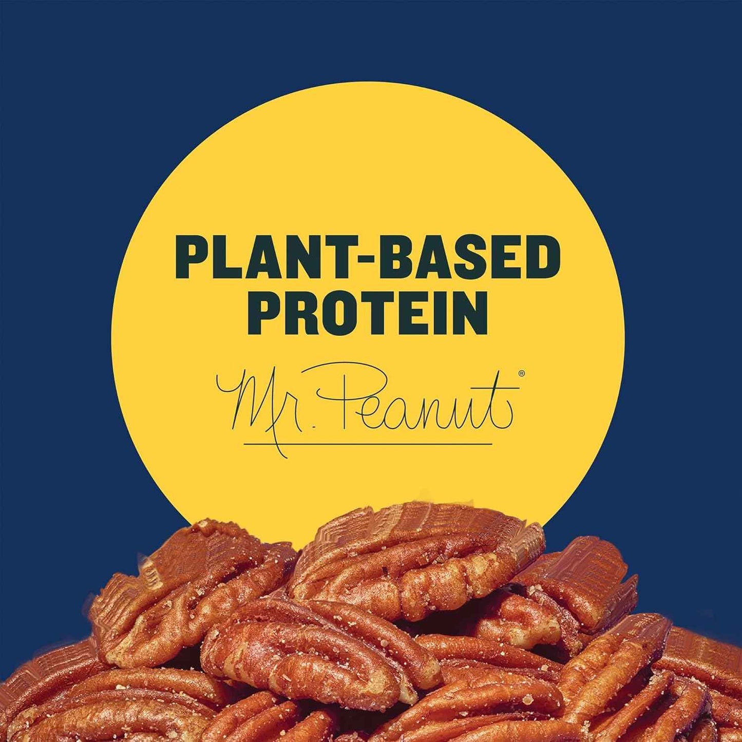 PLANTERS Salted Pecans – Gourmet Holiday Gift Basket Snack for Her, 7.25 oz Individual Pack