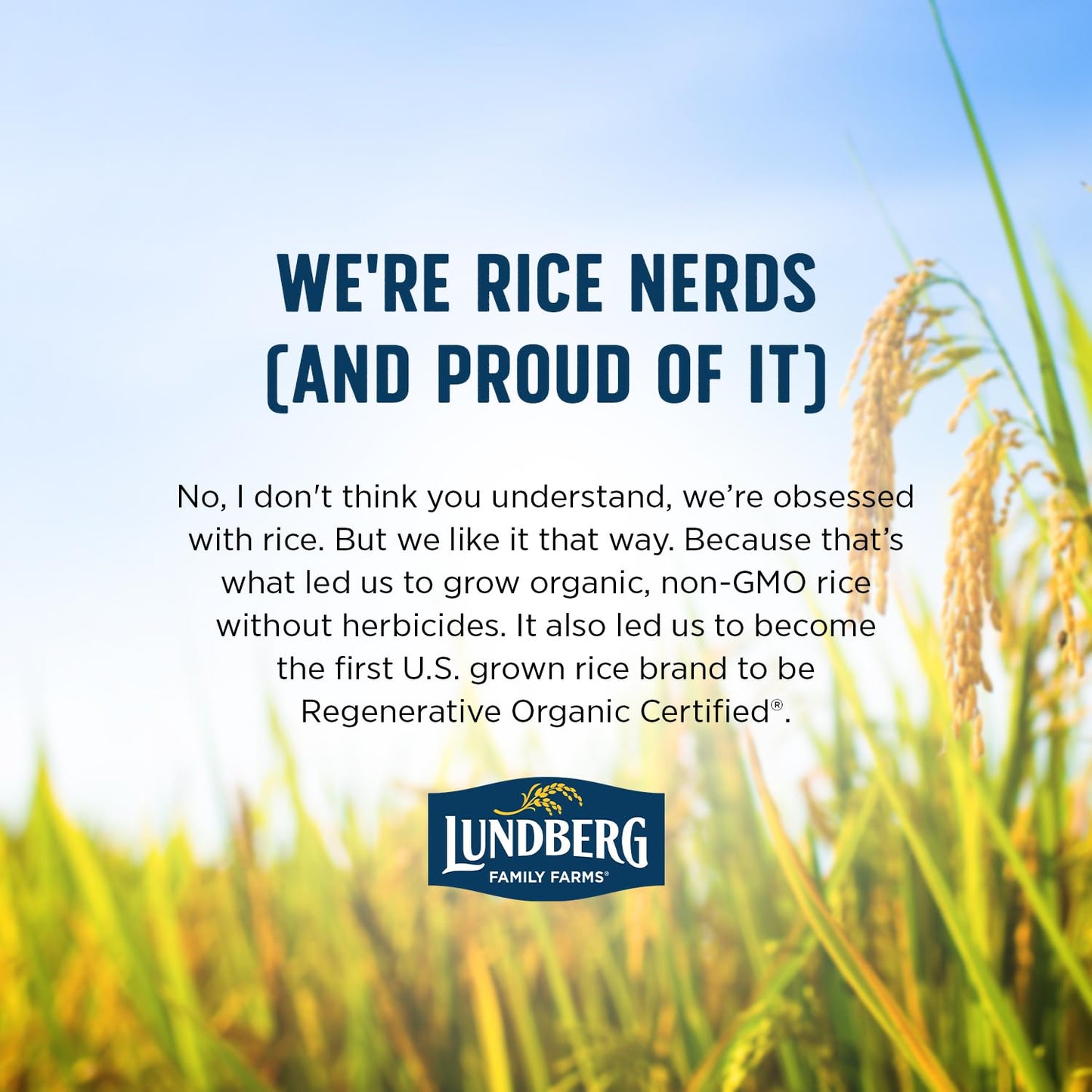 Lundberg Organic Brown Basmati Rice – Whole Grain Staple for Health-Conscious Home Cooks