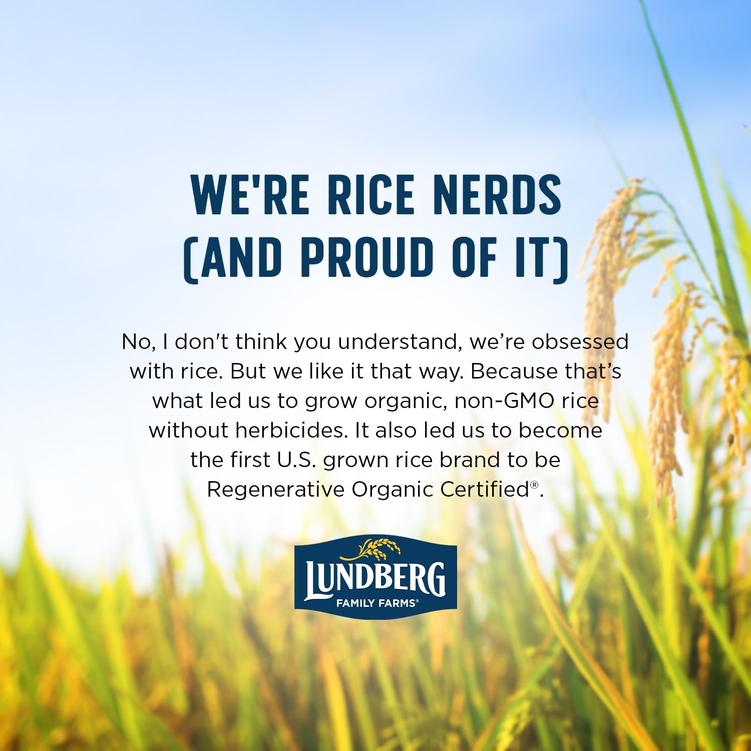 Lundberg Organic Brown Basmati Rice – Whole Grain Staple for Health-Conscious Home Cooks