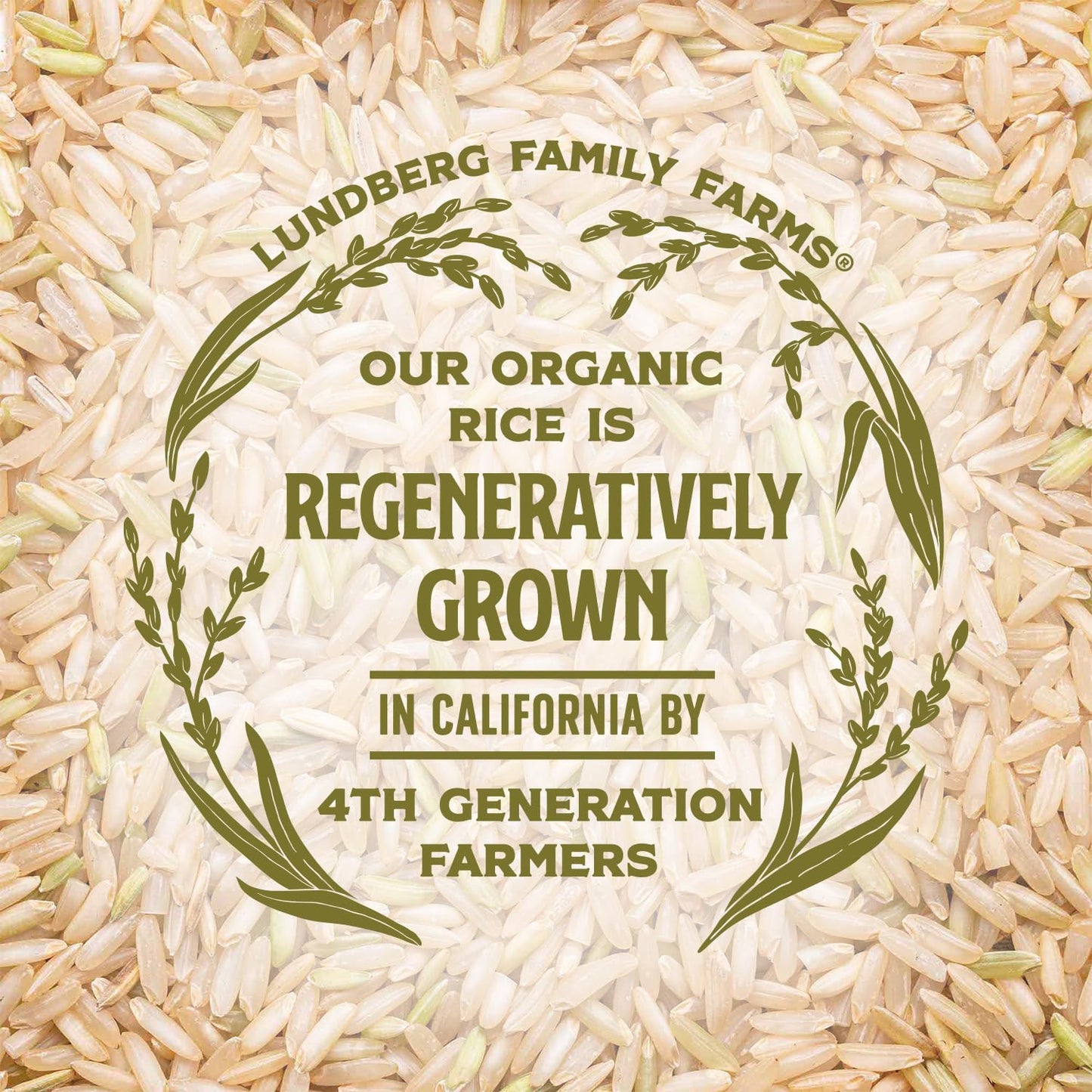 Lundberg Organic Brown Basmati Rice – Whole Grain Staple for Health-Conscious Home Cooks