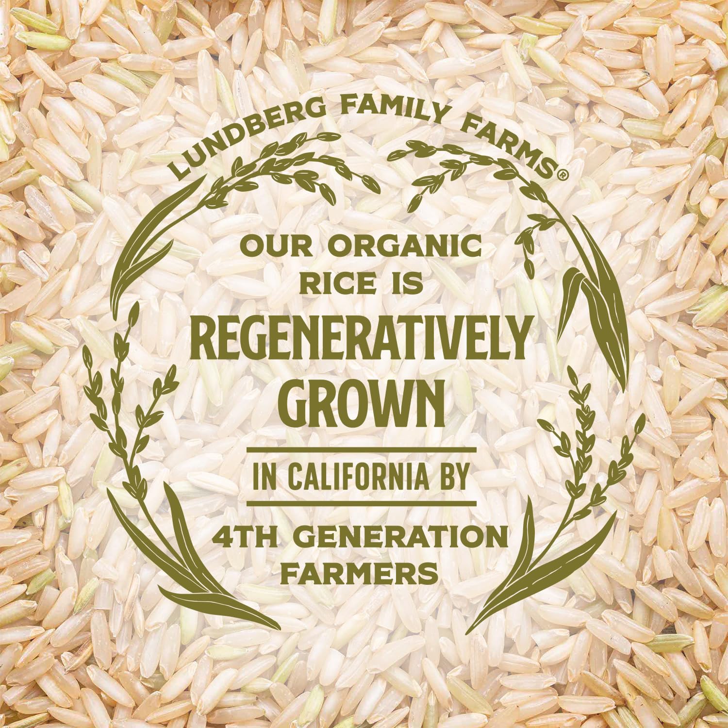 Lundberg Organic Brown Basmati Rice – Whole Grain Staple for Health-Conscious Home Cooks