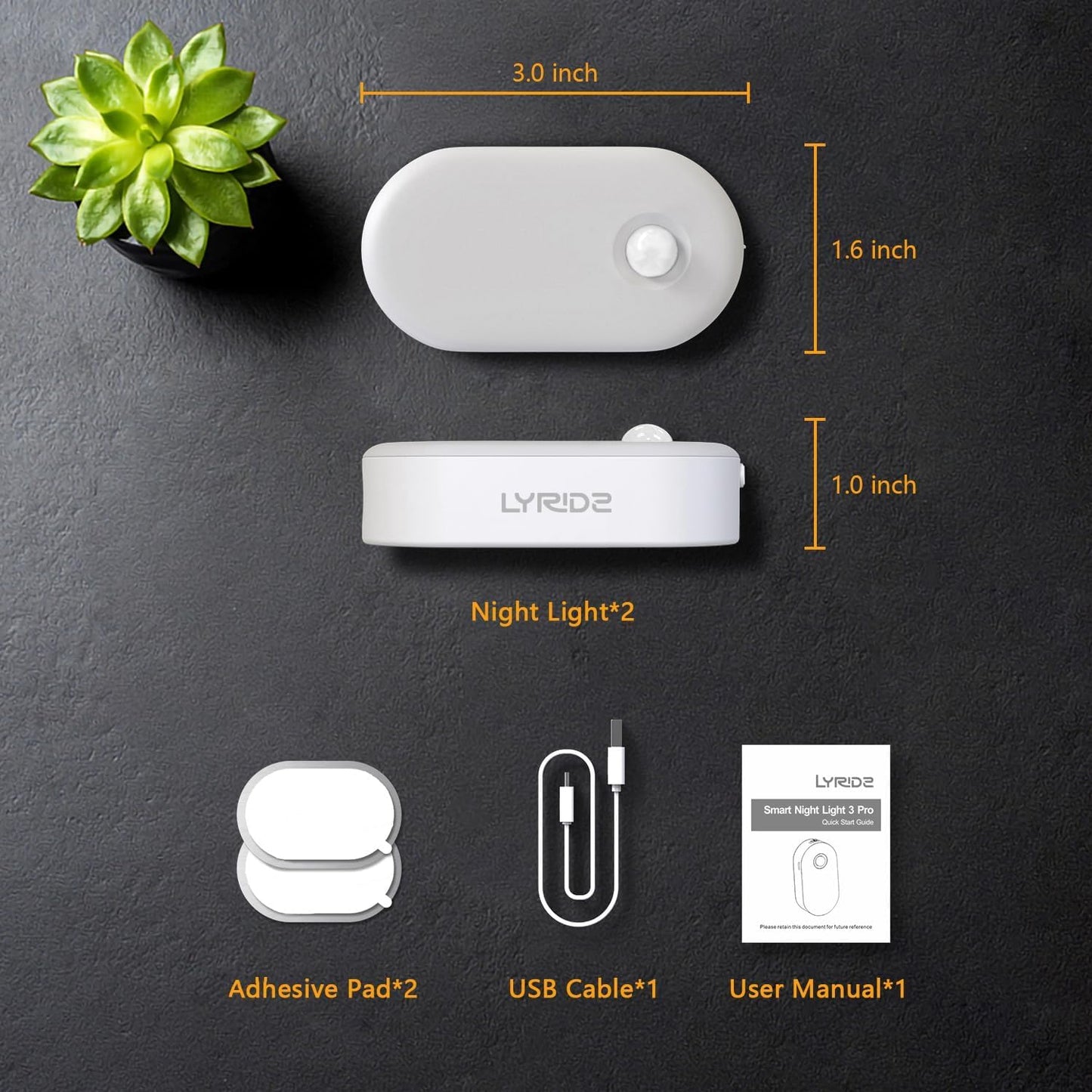 Lyridz Rechargeable Motion Night Light for Stairways and Bathrooms, Flameless LED Path Lighting to Prevent Trip and Fall Injuries at Night