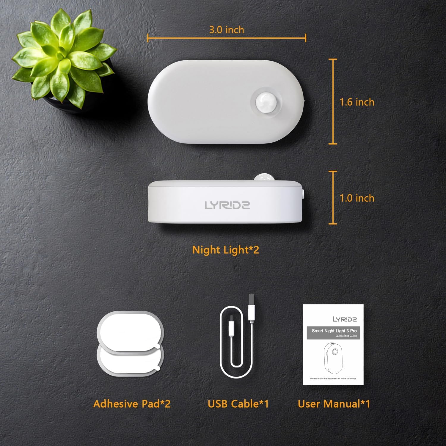 Lyridz Rechargeable Motion Night Light for Stairways and Bathrooms, Flameless LED Path Lighting to Prevent Trip and Fall Injuries at Night