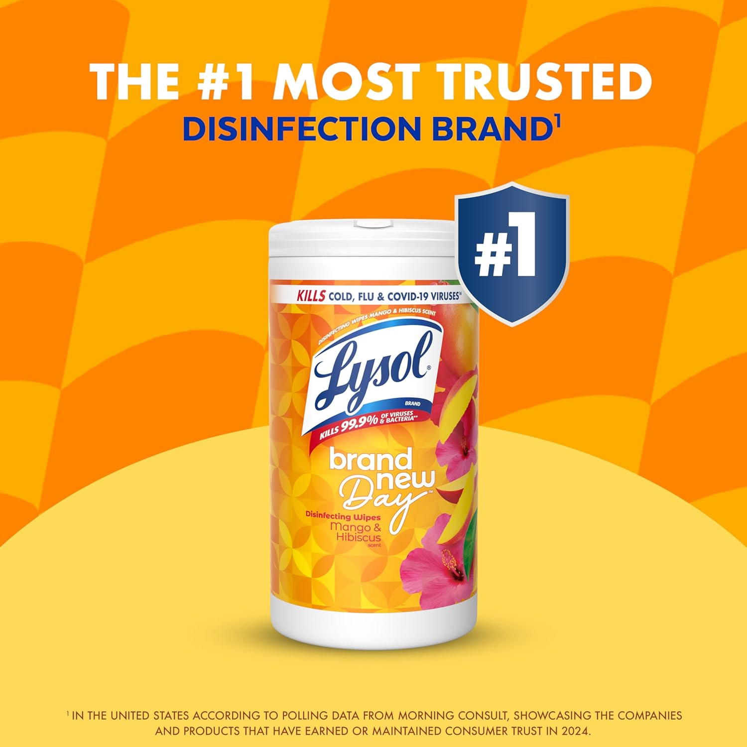 Lysol Disinfecting Wipes Bundle – Thoughtful Housewarming Gift for New Apartment Owners and College Students