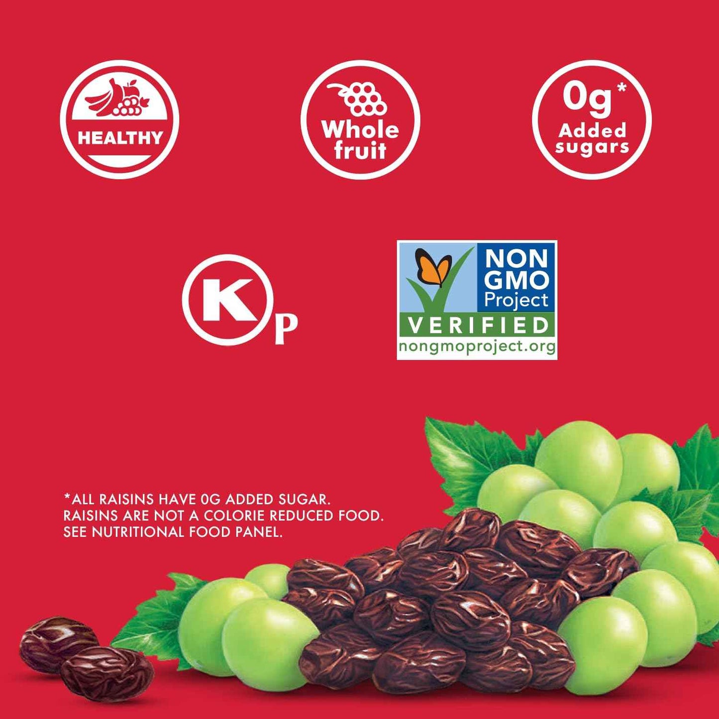Sun-Maid California Raisins – Clean No Added Sugar Snack for Wellness Routines, 13 oz Canister