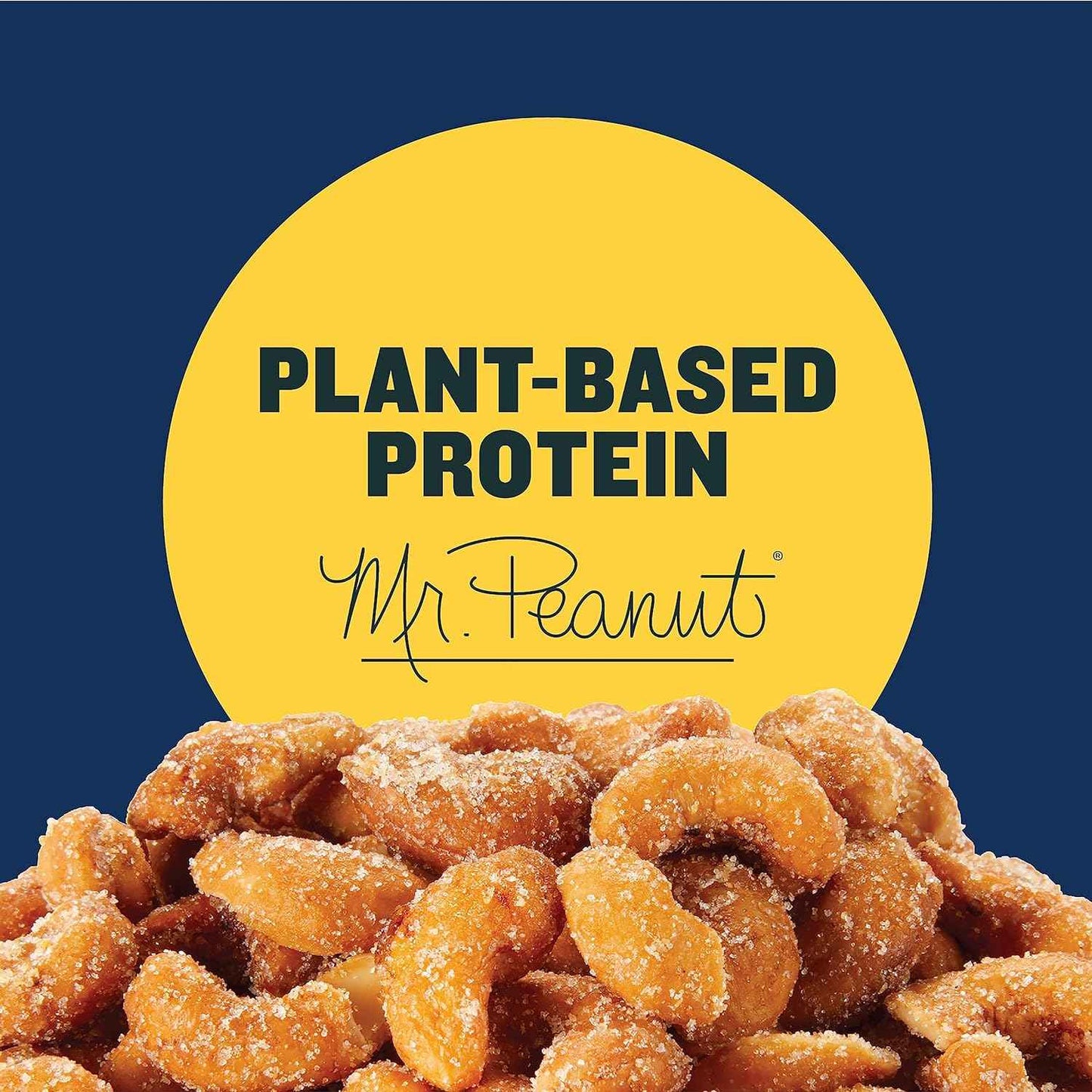 PLANTERS Deluxe Salted Whole Cashews – Office Desk Snack for Midday Hunger, 5g Plant Protein