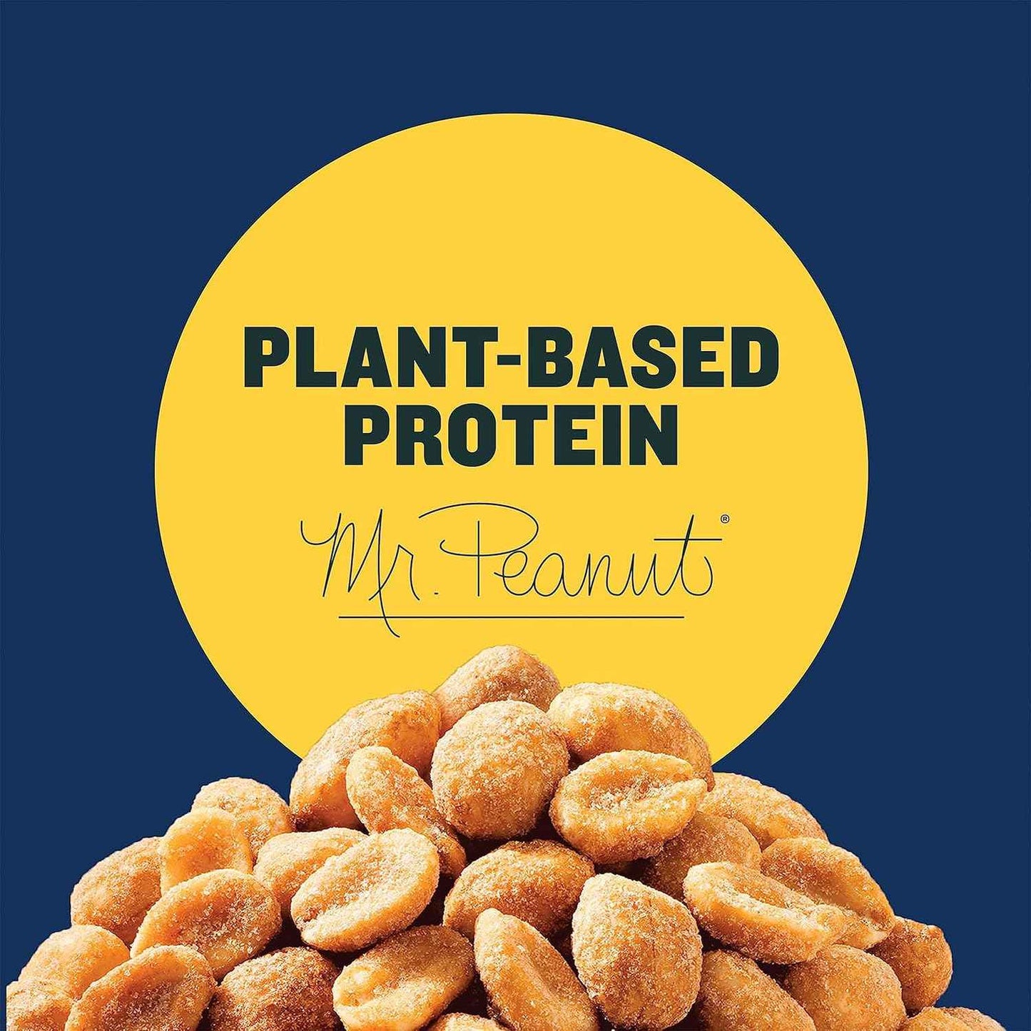 PLANTERS Honey Roasted Peanuts Plant Based Protein Snack for Adults, Home Office Pantry Jar, 16oz
