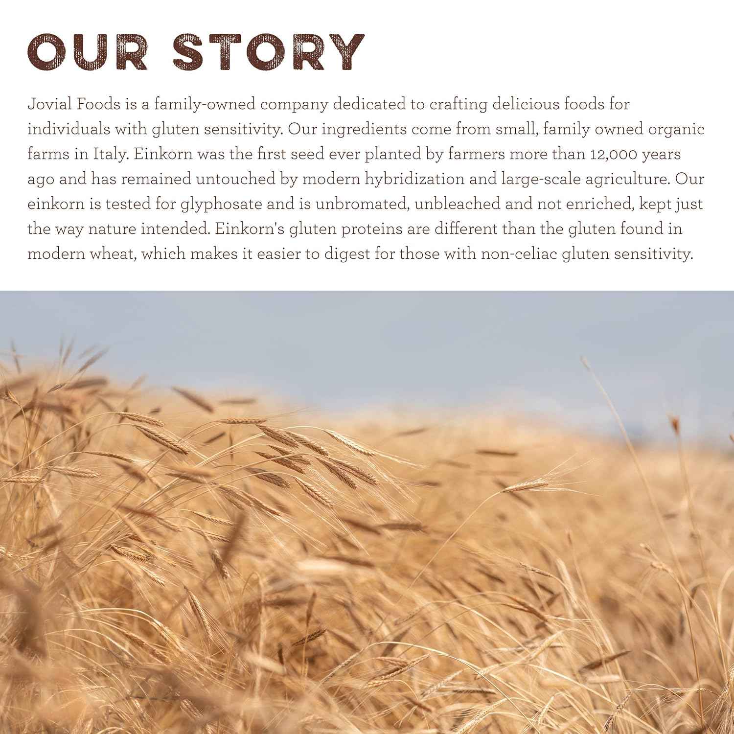 Jovial Einkorn Wheat Berries – Allergen-Friendly Ancient Grain for Kid Lunches