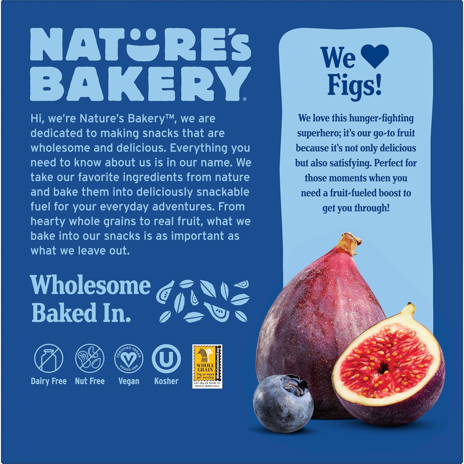 Nature's Bakery Blueberry Fig Bars - Wholesome Lunchbox Snack for Kids, 6 Individually Wrapped Twin Packs