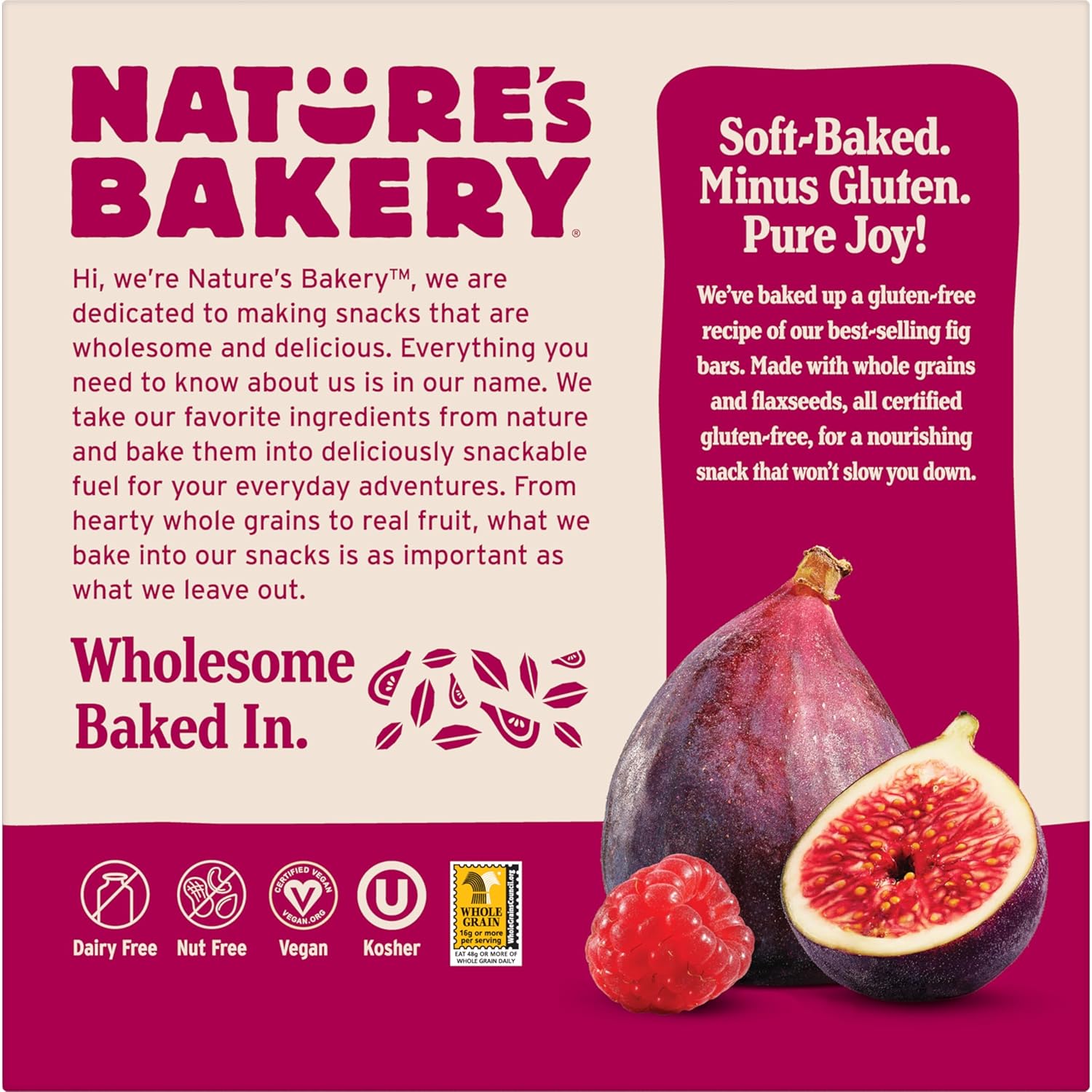 Nature's Bakery Gluten Free Fig Bars – Hiking Trail Energy Bar That Won't Melt
