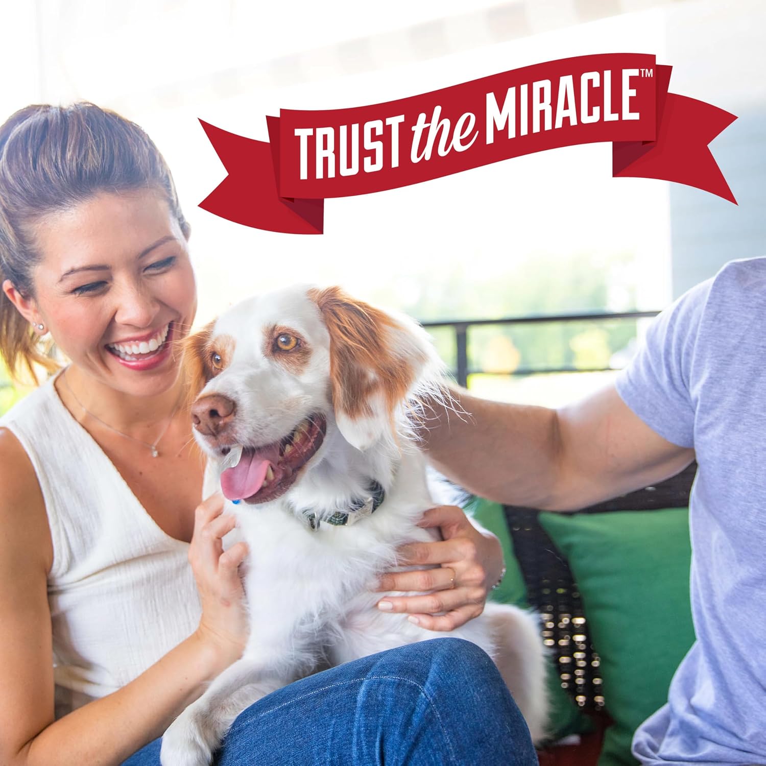 Nature's Miracle Fresh Scent Pet Stain Spray – Mindful Cleanup Routine for a Healthier Indoor Environment